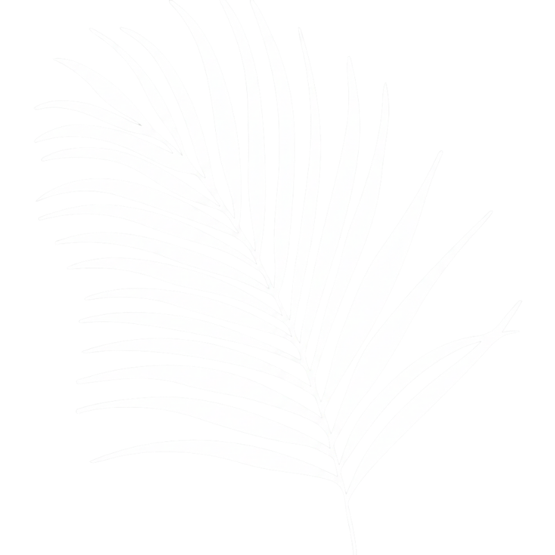 Decorativo